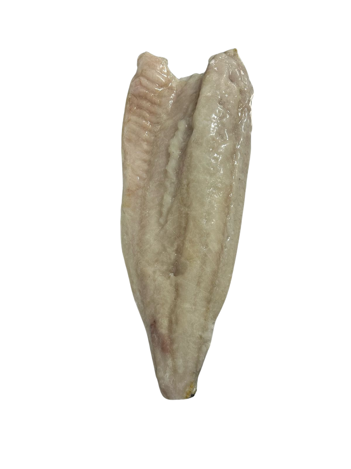 FILÉ DE BACALHAU SAITH 1,5 KG - Manati Delivery